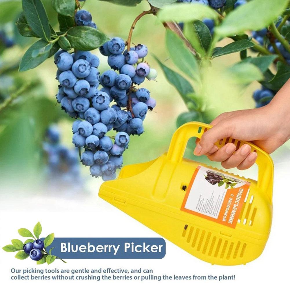 Gardening Tools Must Haves - Alat Pemetik Blueberry Easy-Grip dengan Gigi