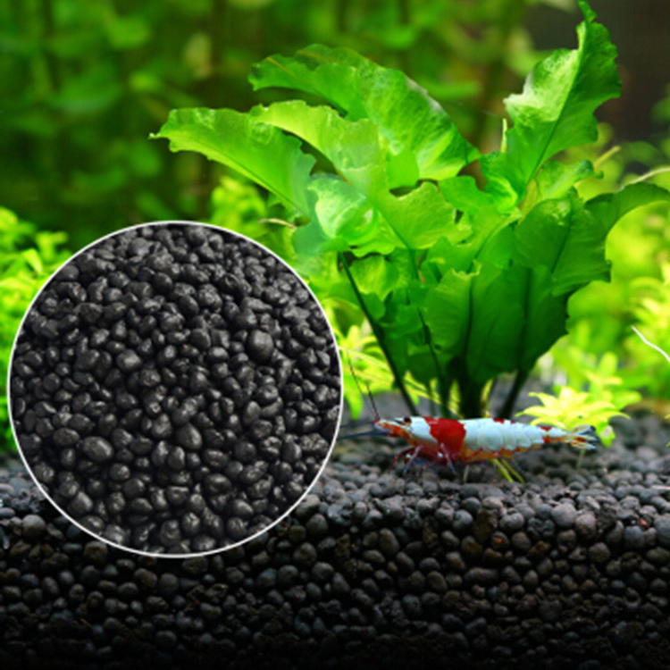 Aquaponics Fish Tank - Bibit Tanaman Akuarium Tanah Tangki Ikan