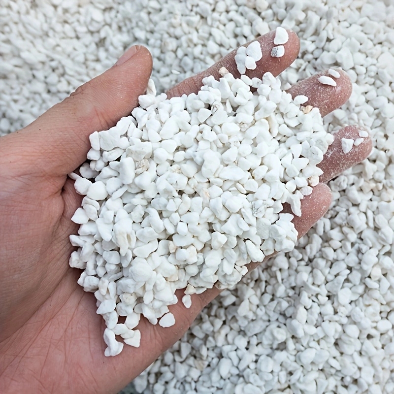Gardening Tools Brands - 1 Pak Perlite Hortikultura 3-6mm untuk
