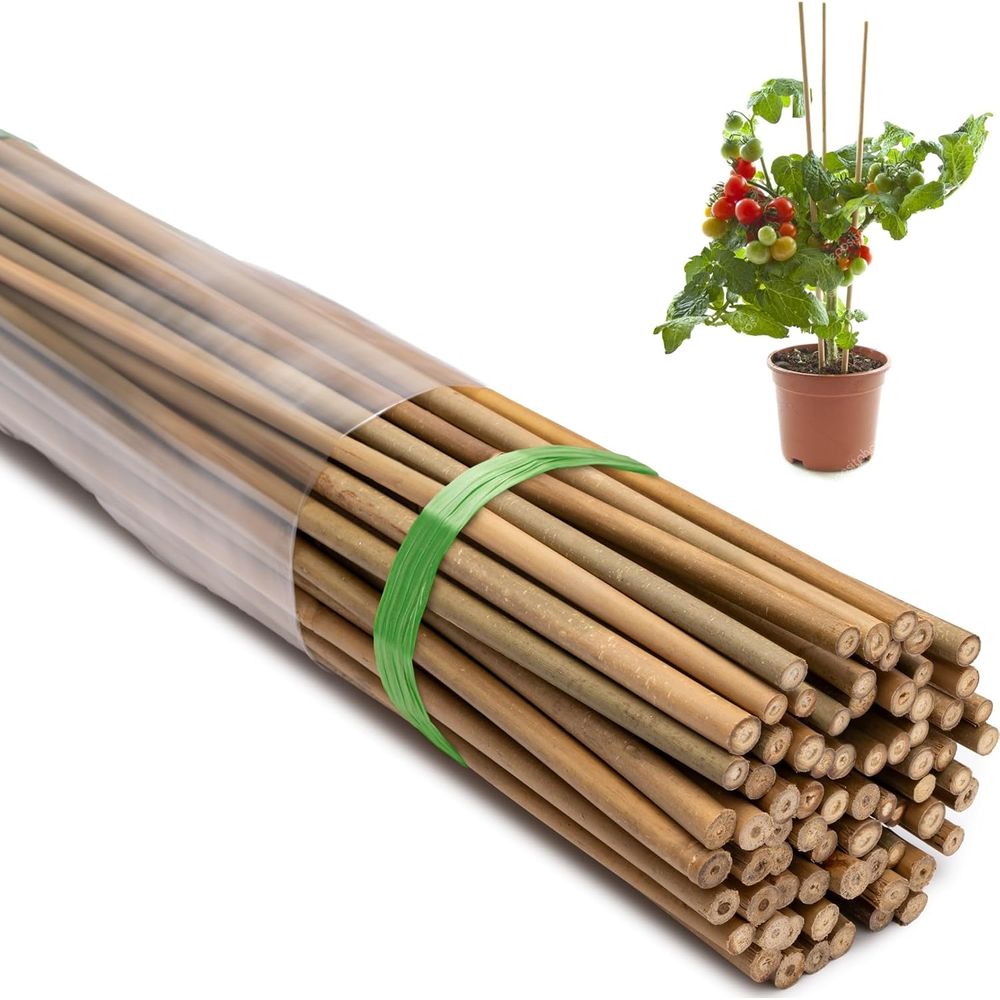 70-Pak Tiang Tanaman Bambu Ala - Plant Support Stake ulasan dan harga