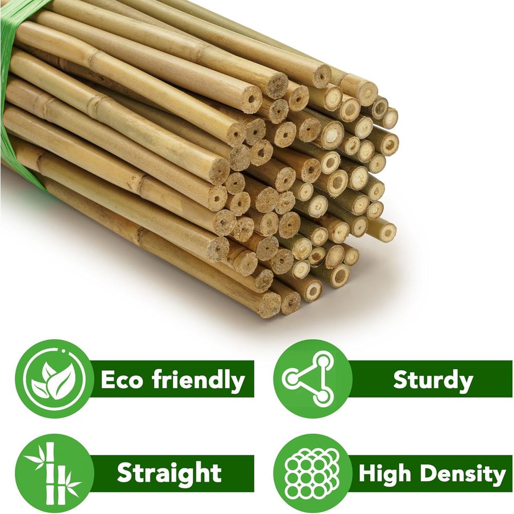 70-Pak Tiang Tanaman Bambu Ala - Plant Support Stake ulasan dan harga