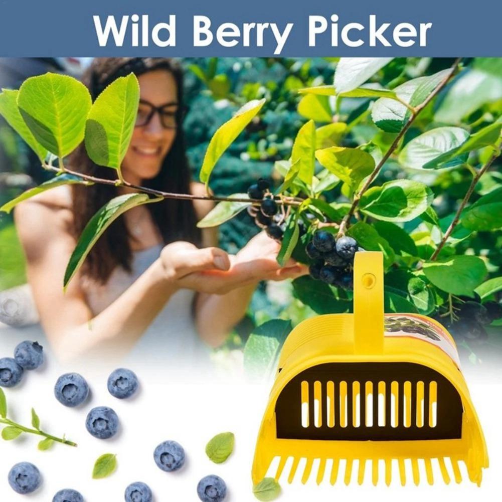 Alat Pemetik Blueberry Easy-Gr - Gardening Tools Must Haves ulasan dan harga