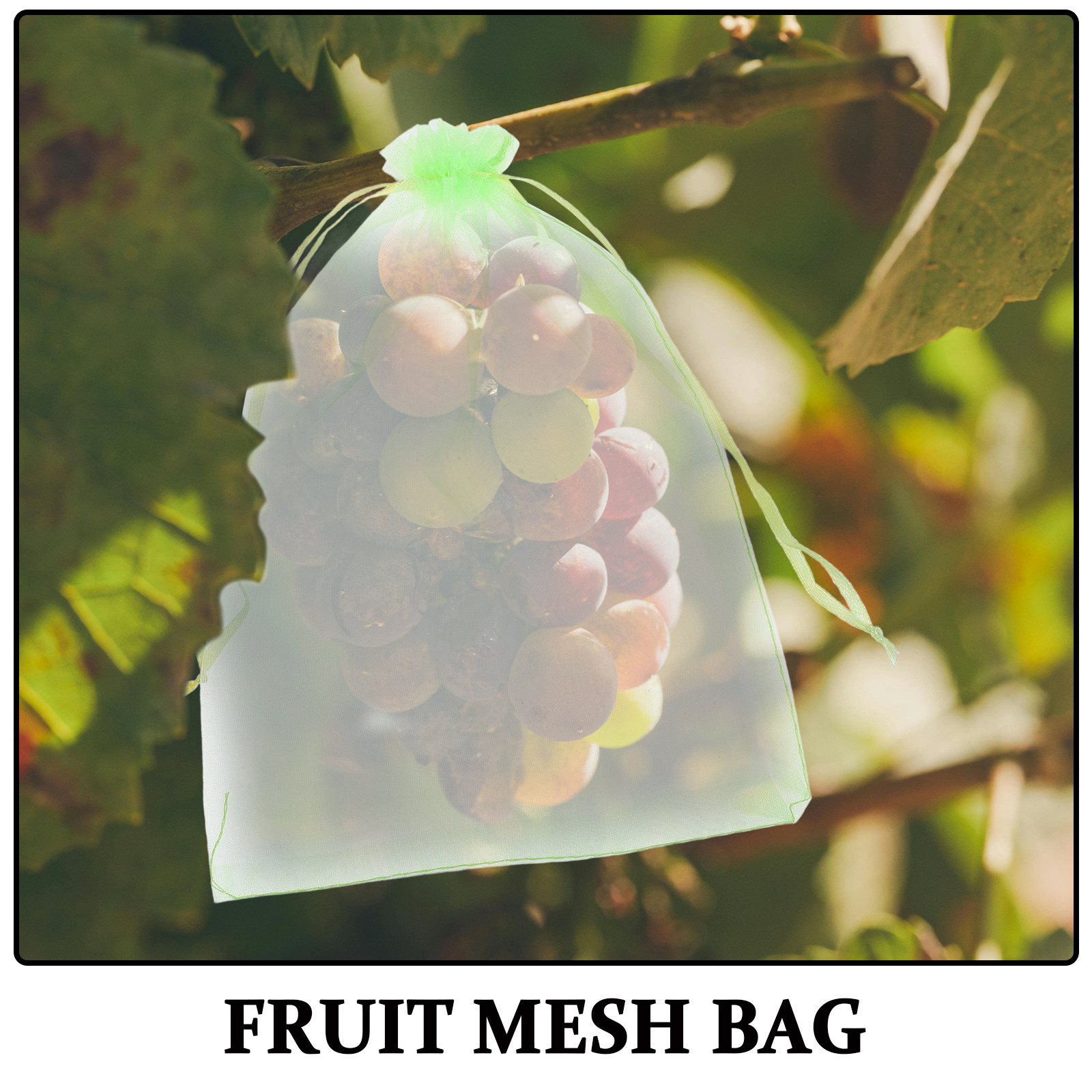 30 Buah Kantong Jaring Buah de - Garden Netting Cover ulasan dan harga