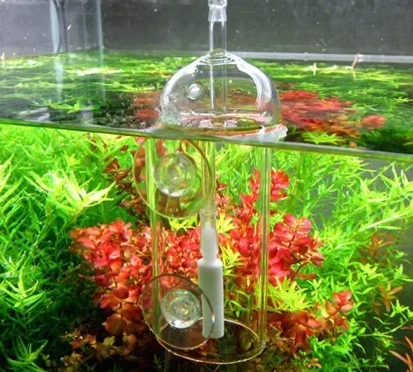 VIV Do perangkat akuarium kaca - Aquaponics Fish Tank ulasan dan harga
