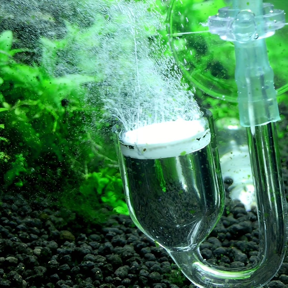 Aquarium kaca CO2 Atomizer Dif - Aquaponics Fish Tank ulasan dan harga