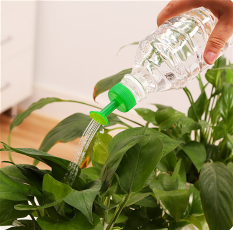 Kaleng Air Tanaman Plastik Tah - Gardening Tools For Sale ulasan dan harga