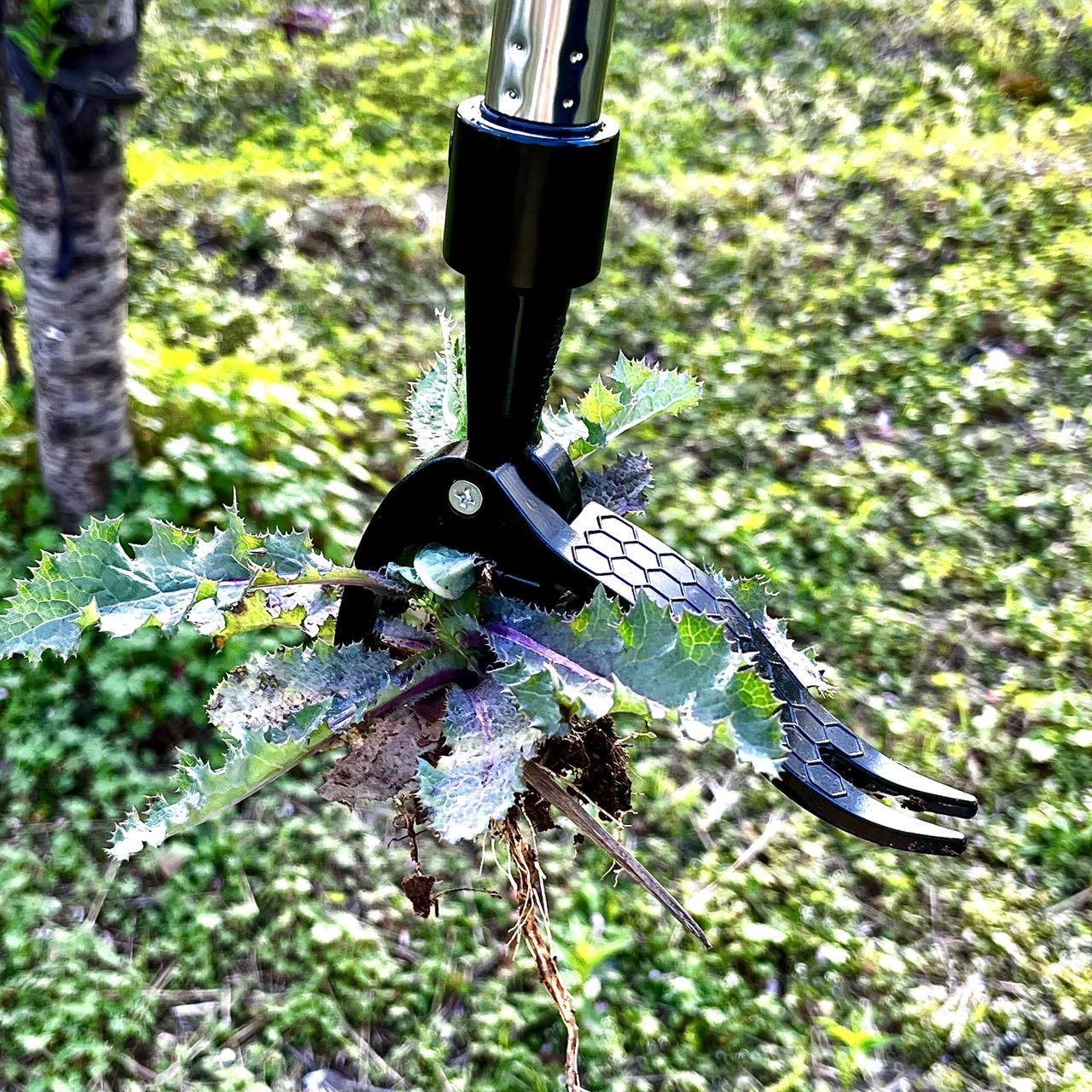 Menghemat Tenaga Kerja Tangan  - Gardening Tools You Need ulasan dan harga