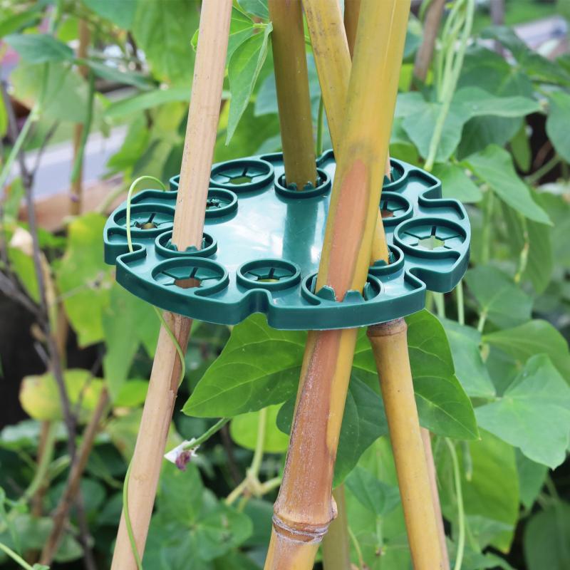 Penyangga Tanaman Plastik untu - Plant Support Stake ulasan dan harga