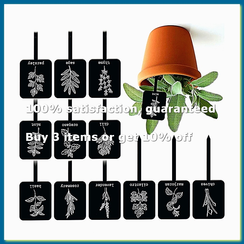 24 Buah Label Tanaman Akrilik  - Gardening Tools Names ulasan dan harga