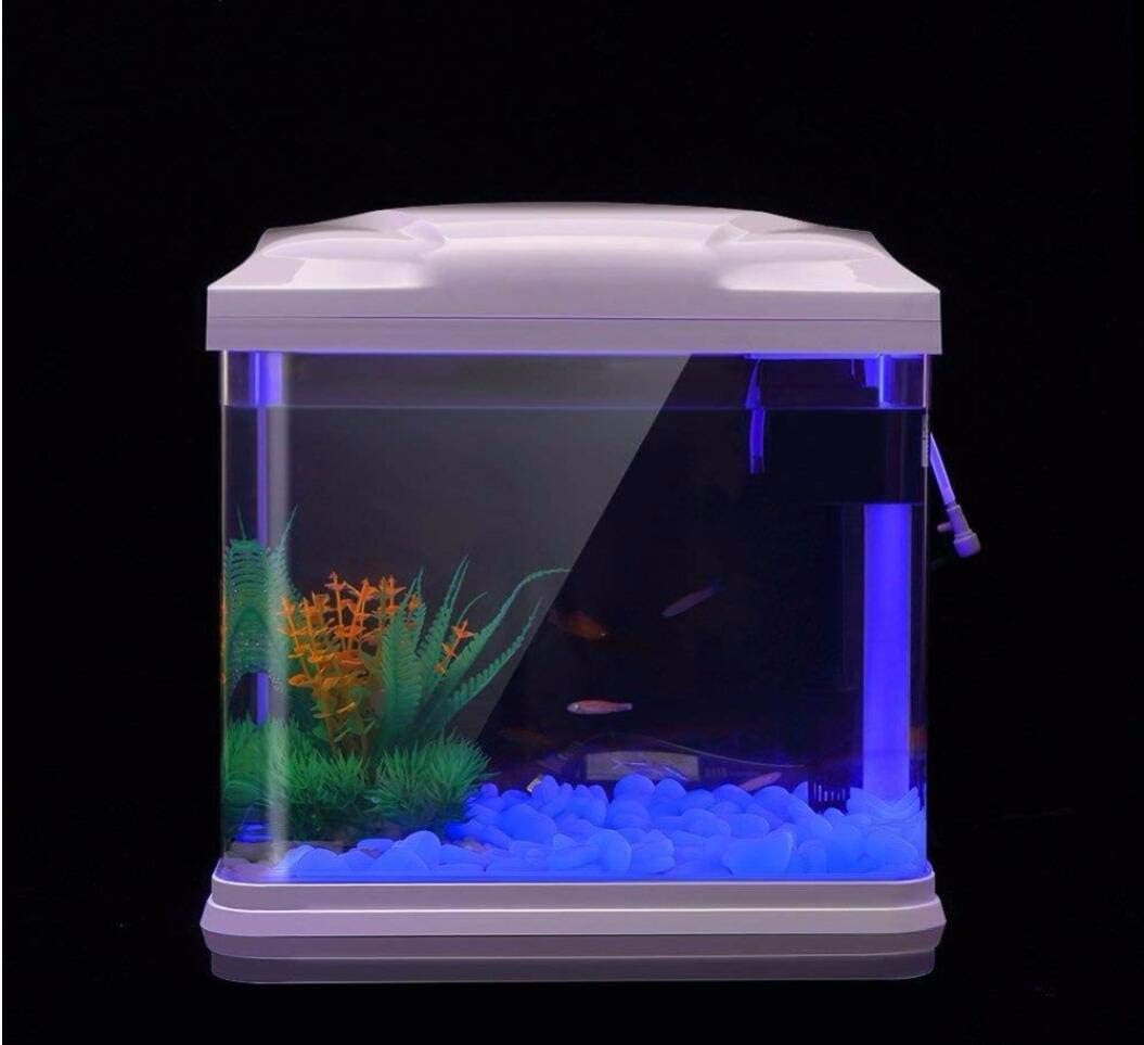 Batu Tangki Ikan Kerikil Biru  - Aquaponics Fish Tank ulasan dan harga