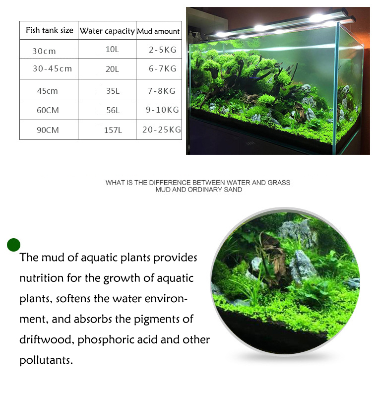Bibit Tanaman Akuarium Tanah T - Aquaponics Fish Tank ulasan dan harga