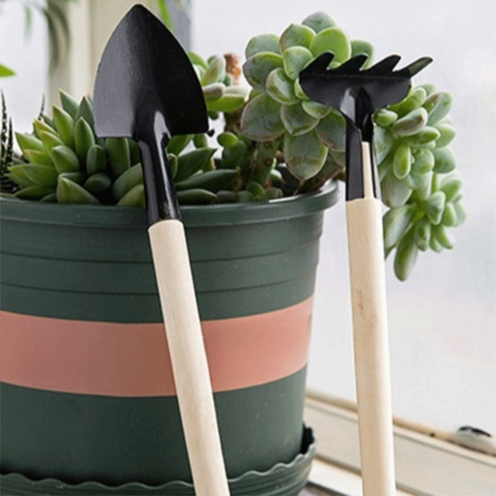Set Alat Berkebun Mini Multifu - Spade Digging Fork ulasan dan harga