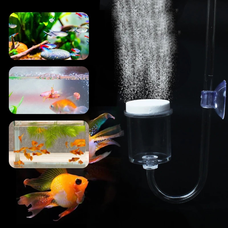 4 buah Set CO2 DIY Diffuser, u - Aquaponics Fish Tank ulasan dan harga