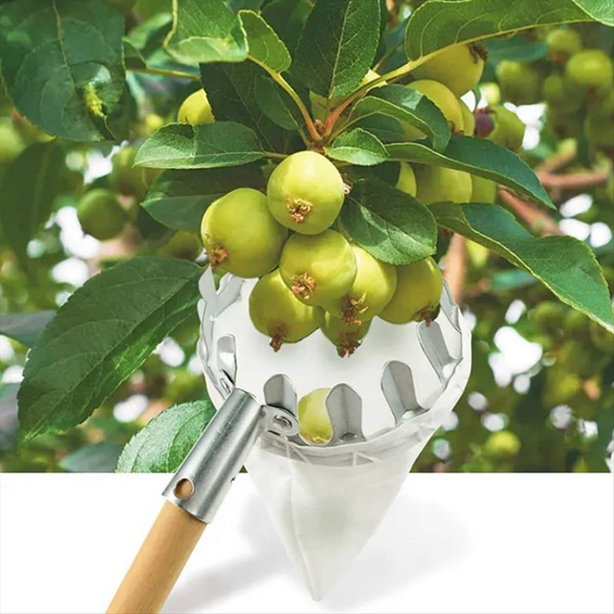 【Obral】Alat Pemetik Buah Logam - Gardening Tools For Sale ulasan dan harga