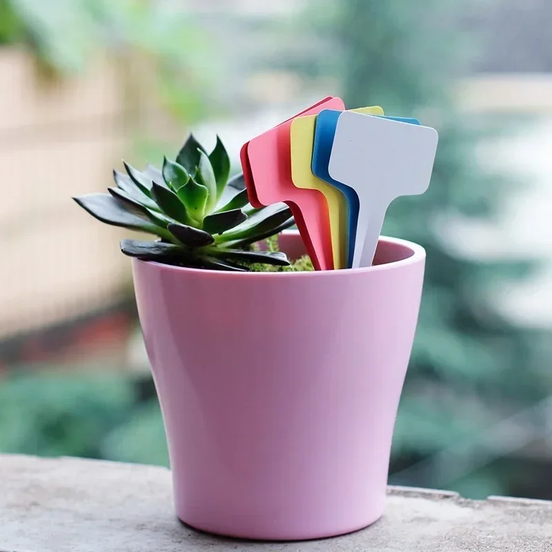 20 Buah Label Nama Tanaman Pla - Gardening Tools Names ulasan dan harga