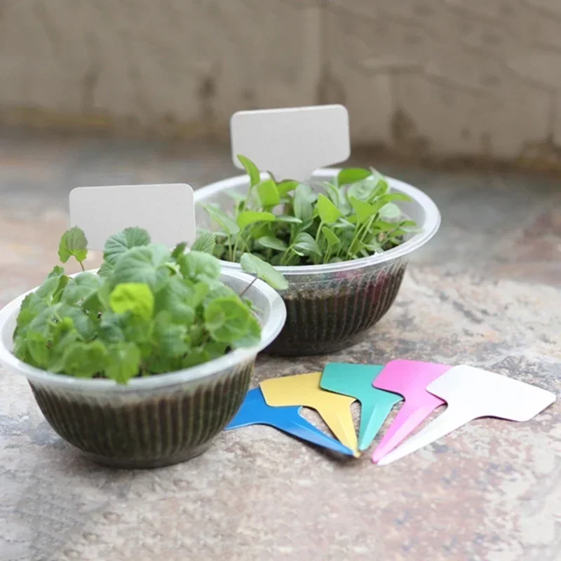 20 Buah Label Nama Tanaman Pla - Gardening Tools Names ulasan dan harga