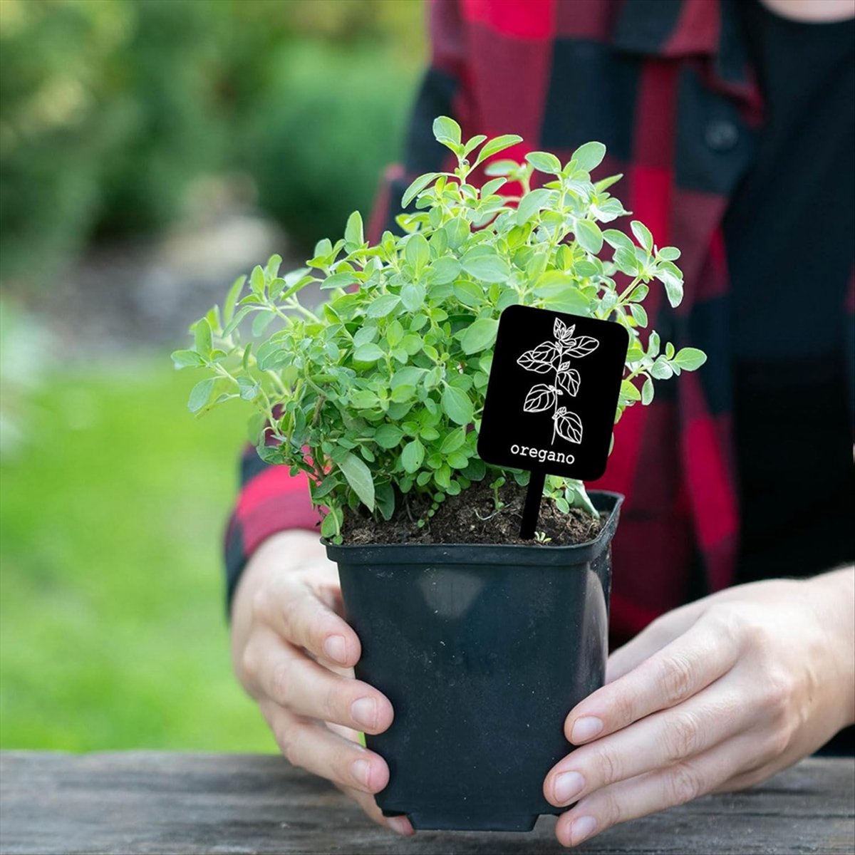 AA14 24 Buah Label Tanaman Akr - Gardening Tools Names ulasan dan harga