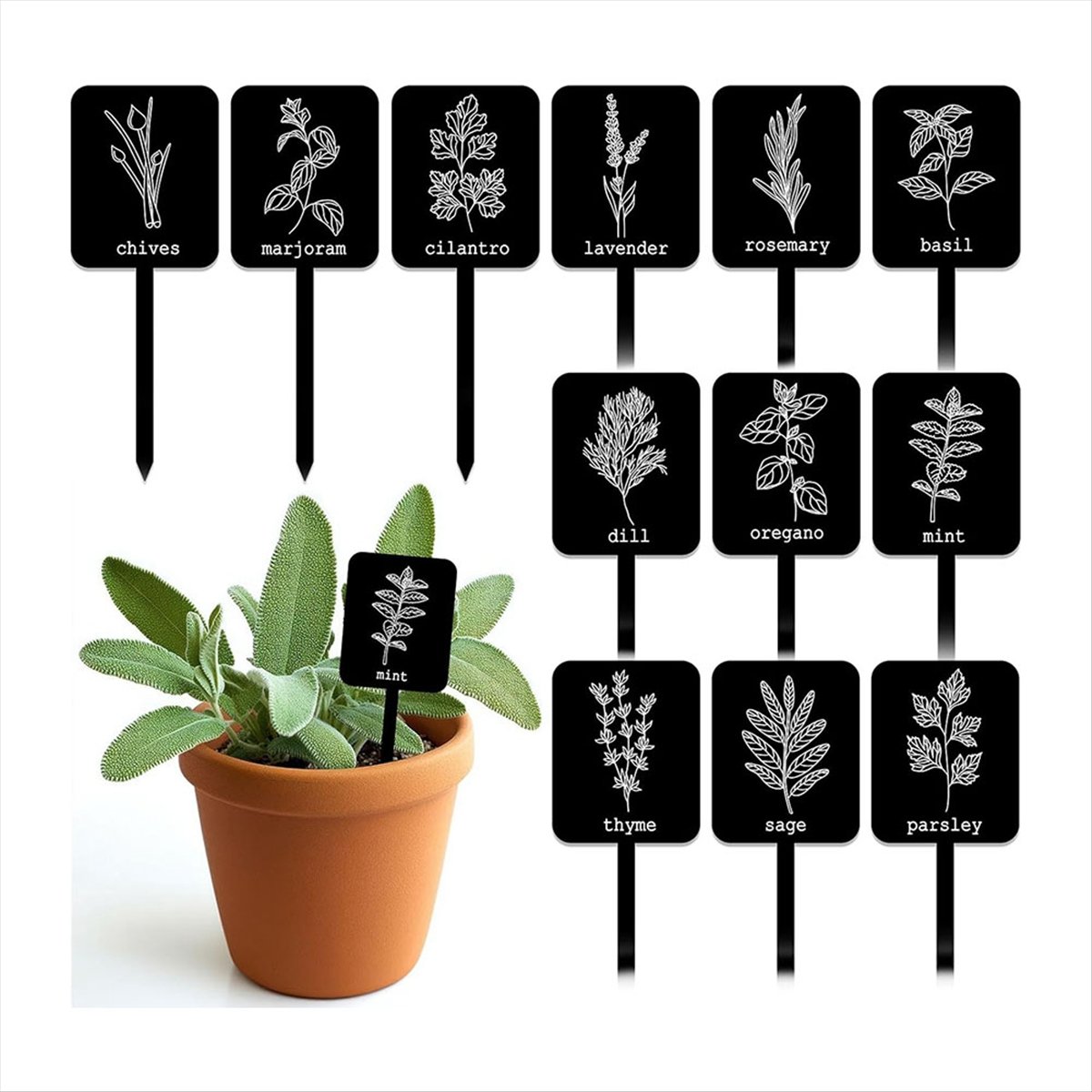 AA14 24 Buah Label Tanaman Akr - Gardening Tools Names ulasan dan harga